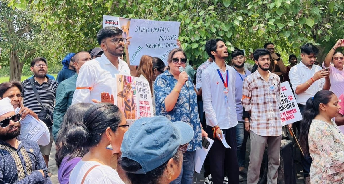 whatsapp image 2025 08 17 at 10.20.14 pm (1)