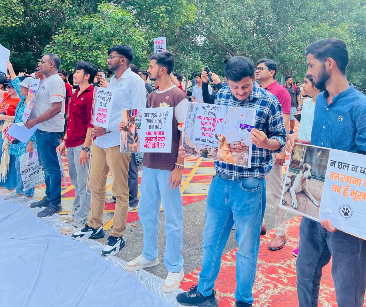 whatsapp image 2025 08 17 at 10.20.54 pm